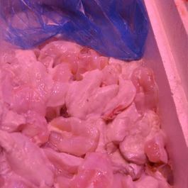 istopesca-pescados3